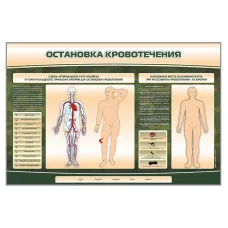 Электрифицированный стенд-тренажер Zarnitza "Остановка кровотечения"