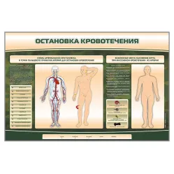 Электрифицированный стенд-тренажер Zarnitza "Остановка кровотечения"