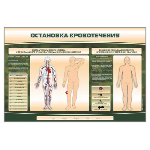 Электрифицированный стенд-тренажер Zarnitza "Остановка кровотечения"