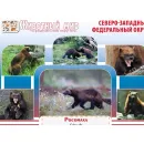 Учебно-образовательная коллекция "Знайка" «Биология. Животные РФ Млекопитающие» (Электронная версия)
