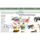 Учебно-образовательная коллекция "Знайка" «Биология. Животные» (Электронная версия)