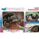 Учебно-образовательная коллекция "Знайка" «Биология Паукообразные России» (Электронная версия)