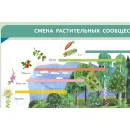 Учебно-образовательная коллекция "Знайка" «Биология. Растение - живой организм» (USB-накопитель. Коробочная версия)