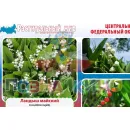 Учебно-образовательная коллекция "Знайка" «Биология Растительный мир РФ» (USB-накопитель. Коробочная версия)