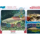 Учебно-образовательная коллекция "Знайка" "Биология Рыбы РФ" (USB-накопитель. Коробочная версия)