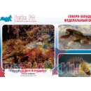 Учебно-образовательная коллекция "Знайка" "Биология Рыбы РФ" (Электронная версия)