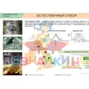 Учебно-образовательная коллекция "Знайка" «Биология. Эволюционное учение» (Электронная версия)