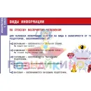 Учебно-образовательная коллекция "Знайка" «Информатика 5 класс» (USB-накопитель. Коробочная версия)