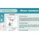 Учебно-образовательная коллекция "Знайка" «Технология. Кройка и шитье» (Электронная версия)