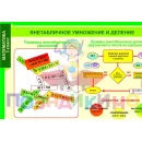 Учебно-образовательная коллекция "Знайка" «Математика 3 класс» часть 1. Числа до 1 000. Числа и величины. Арифметические действия (USB-накопитель. Коробочная версия)