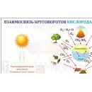 Учебно-образовательная коллекция "Знайка" «Начало химии. Периодическая система элементов Д.И. Менделеева» (USB-накопитель. Коробочная версия)