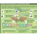 Учебно-образовательная коллекция "Знайка" «НВП. Основы воинской службы» (Электронная версия)