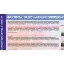 Учебно-образовательная коллекция "Знайка" «ОБЖ. Основы медицинских знаний и здорового образа жизни» (Электронная версия)
