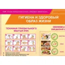 Учебно-образовательная коллекция "Знайка" «ОБЖ. Основы медицинских знаний и здорового образа жизни» (Электронная версия)