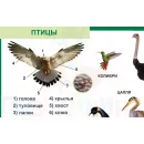 Учебно-образовательная коллекция "Знайка" «Окружающий мир 1 класс. Человек и природа. Человек и общество. Правила безопасной жизни» (Электронная версия)