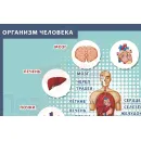Учебно-образовательная коллекция "Знайка" «Окружающий мир 3 класс часть 1. Человек и природа» (USB-накопитель. Коробочная версия)