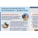 Учебно-образовательная коллекция "Знайка" «Окружающий мир 3 класс» часть 2 Человек и общество. Правила безопасной жизни (Электронная версия)