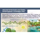 Учебно-образовательная коллекция "Знайка" «Окружающий мир 4 класс» часть 1. Человек и природа. Человек и общество (USB-накопитель. Коробочная версия)