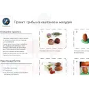 Учебно-образовательная коллекция "Знайка" «Проектная деятельность. Рисуем, считаем, создаем» (USB-накопитель. Коробочная версия)