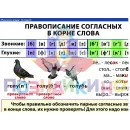 Учебно-образовательная коллекция "Знайка" «Русский язык 3 класс. Слово, текст, предложение. Состав слова. Орфография. Часть 1» (Электронная версия)