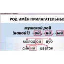 Учебно-образовательная коллекция "Знайка" «Русский язык. Начальная школа» (Электронная версия)
