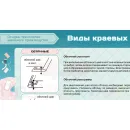 Учебно-образовательная коллекция "Знайка" «Технология. Домоводство» (USB-накопитель. Коробочная версия)