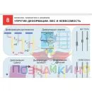 Учебно-образовательная коллекция "Знайка" «Физика. Кинематика и динамика. Законы сохранения» (USB-накопитель. Коробочная версия)