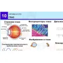 Учебно-образовательная коллекция "Знайка" «Физика. Оптика и СТО» (USB-накопитель. Коробочная версия)