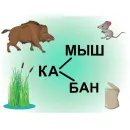 Программное обеспечение «Мерсибо Плюс 3» (USB-версия)
