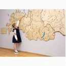 Карта России Логикус средняя (подсветка контражур)