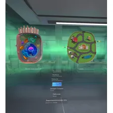 Программное обеспечение "Биология. Цитология VR 5-11 класс" Modum Lab