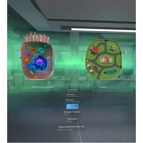 Программное обеспечение "Биология. Цитология VR 5-11 класс" Modum Lab