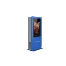 Уличный погодоустойчивый киоск 75" AlfaDispLay с рабочей температурой от-50C до +80C